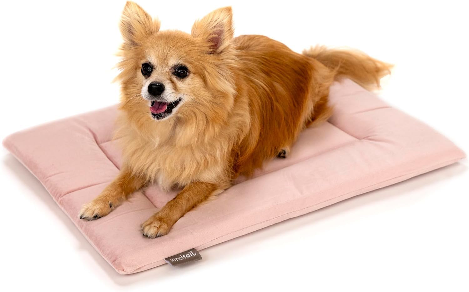 KindTail Dog Crate Pad - Soft Velvet, Reversible Bed - Machine Washable Kennel Mat for Pets up to 15 lbs, Mattress for Cozy Sleeping - 20” x 15” x 1” (Pink, Small) - Pet Explorer