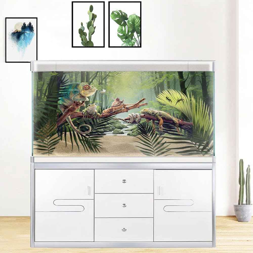 48X24IN Tropical Forest Terrarium Background, Natural Green Forest Tree Reptile Habitat Background, Misty Rainforest Aquarium Background, with 8 EVA Double-Sided Tape