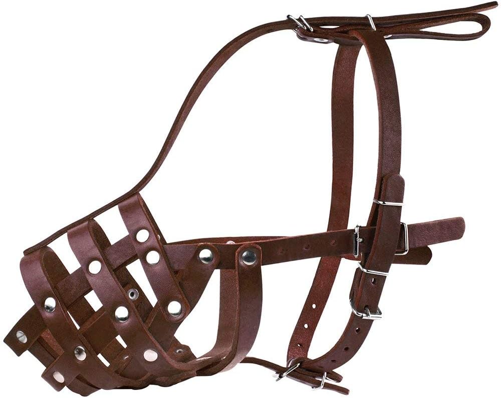 CollarDirect Dog Muzzle German Shepherd Dalmatian Doberman Setter Leather Basket Medium Large Breeds (Chestnut Brown, Large) - Pet Explorer
