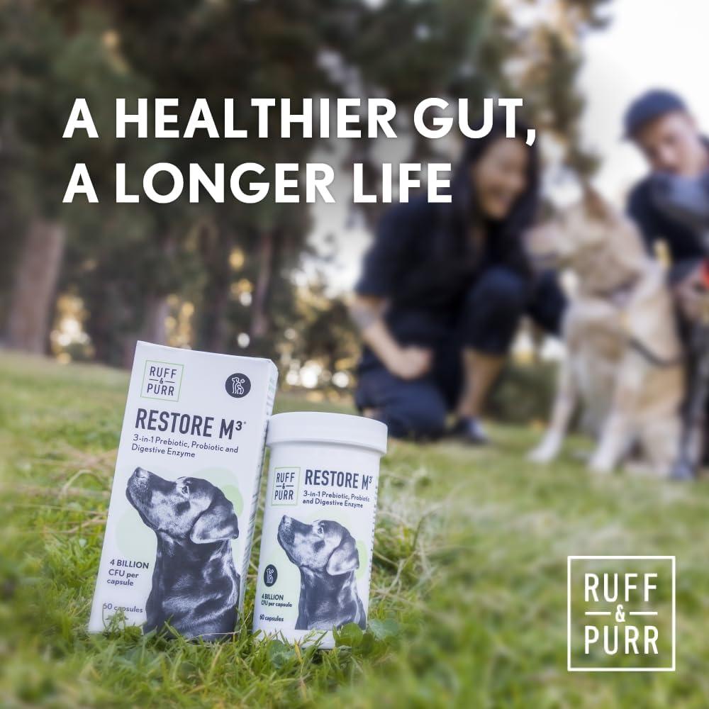 Ruff & Purr Probiotics for Dogs – 3-in-1 Probiotics, Prebiotics and Digestive Enzymes for Gut Health, Immune Support, Healthy Skin and Coat – Clinically Studied DE111 & PreforPro - Pet Explorer