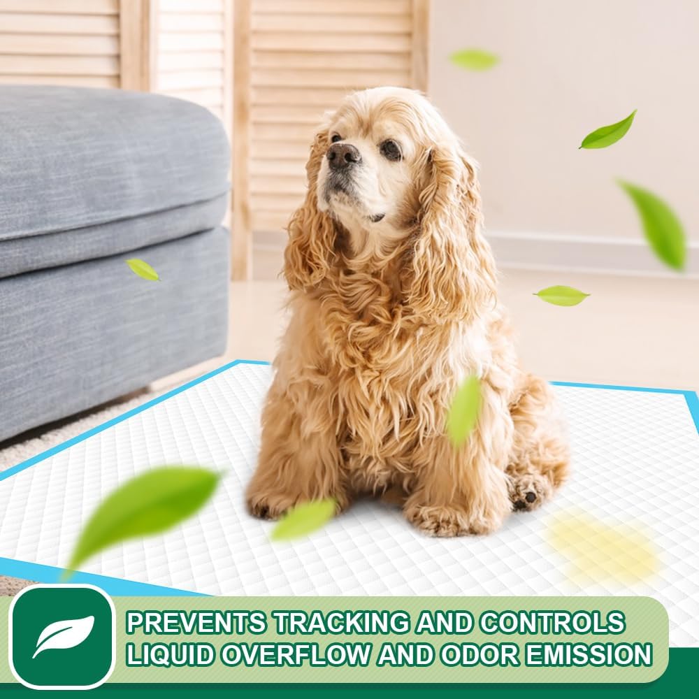 IMMCUTE Puppy Pads 22"x23" 100 Count | 6-Layer Leak-Proof & Super Absorbent Dog Training Pads | Disposable Potty Pads for Puppies, Dogs, Cats & Rabbits | Blue & White - Pet Explorer