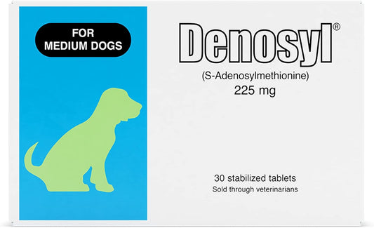 Nutramax Denosyl Liver and Brain Health Supplement for Medium Dogs - With S-Adenosylmethionine (SAMe), 30 Tablets - Pet Explorer