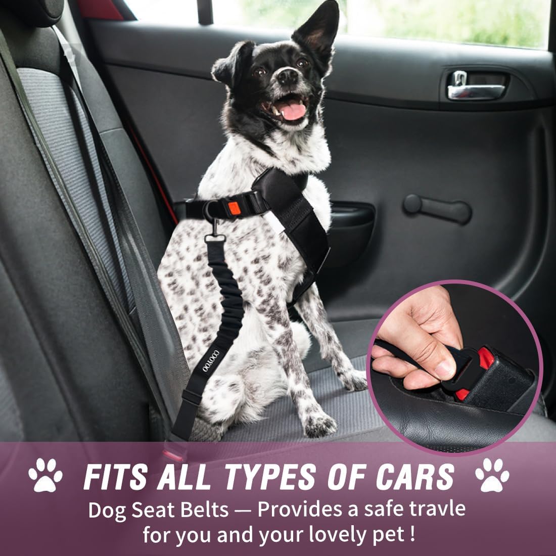 COOYOO Dog Seat Belt,3 Piece Set Retractable Dog Car Adjustable Seatbelts for Vehicle Nylon Pet Safety Heavy Duty & Elastic & Durable Car Harness for Dogs - Pet Explorer