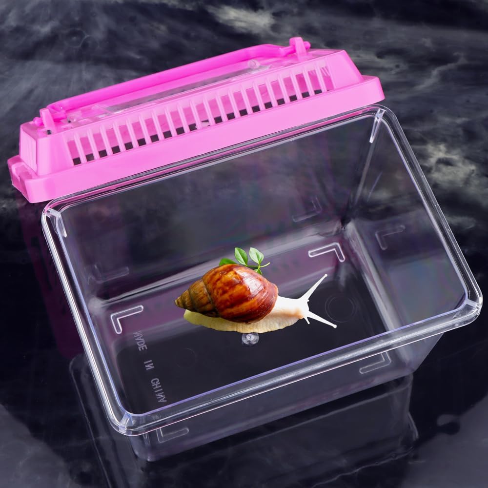 20 Pack Small Plastic Reptile Carrier Tarantula Enclosure Snake Breeding Box Hatching Container for Spider Fish Turtle Hermit Crab Bearded Dragon Lizard (5.1 x 3.5 x 3.5 Inch) - Pet Explorer