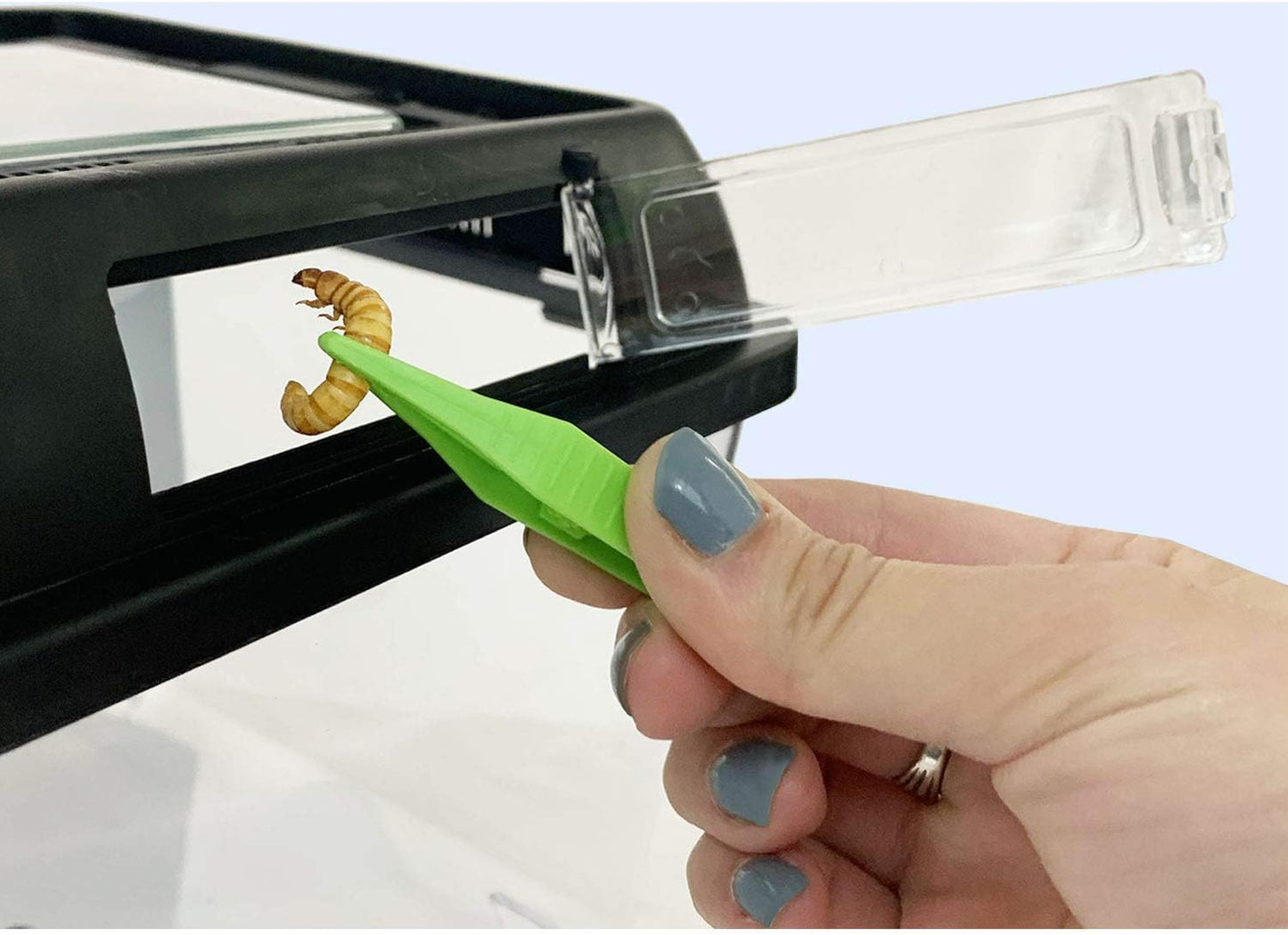 Happy Habitat (Standard) - Ventilated Enclosure & Breeder Box - for Live Feeder Insects, Reptiles, Amphibians & Other Small Pets - Durable Plastic Portable Terrarium - Pet Explorer