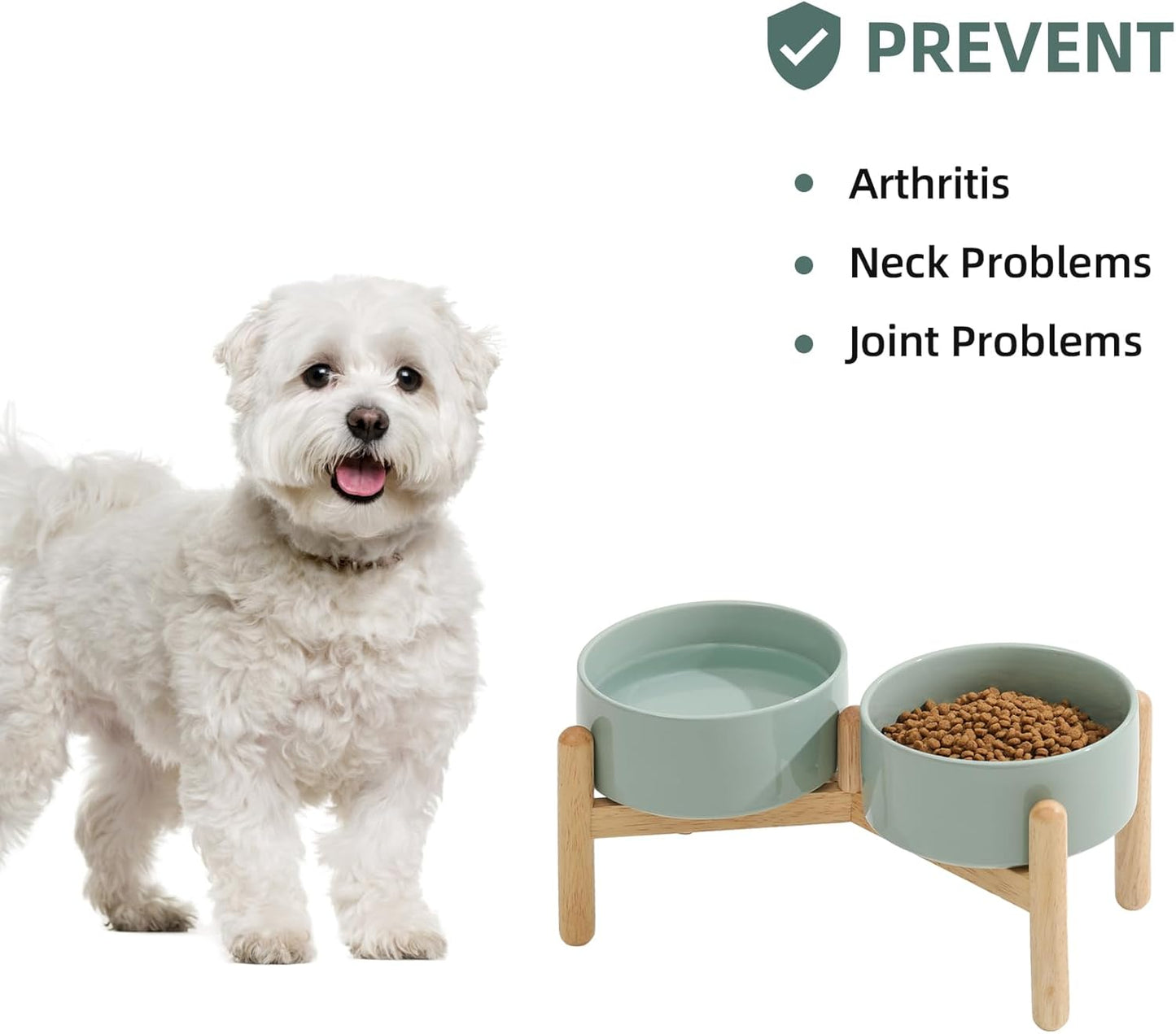 Ceramic 6.1inch Raised Dog Bowl with Stand for Small and Medium Breed Dog Dish Pet Food and Water Bowl (Double Bowl with Stand - Light Green, 28oz) - Pet Explorer