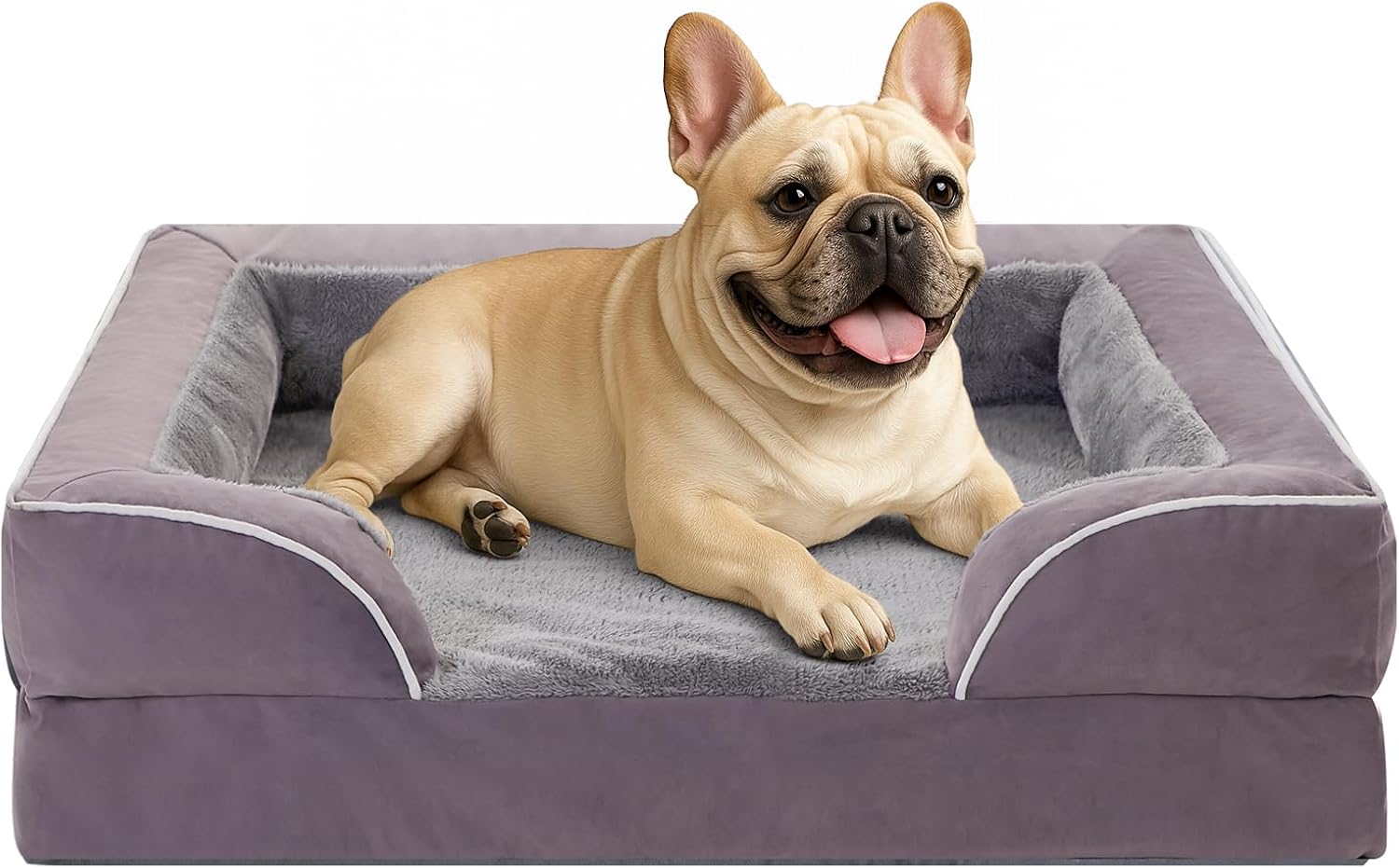 Comfort Expression Small Dog Beds Waterproof Orthopedic Foam Dog Sofa Beds for Medium Dogs Comfy Pet Bed with Washable Removable Cover & Non-Slip Bottom(Small,Purple) - Pet Explorer