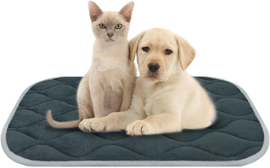 furrybaby Dog Crate Pad for Dog Cages Flat Crate Mat Kennel Pad with Anti-Slip Bottom Machine Washable for Pet Bed Sleeping (S 24x18'', Grey Mat) - Pet Explorer