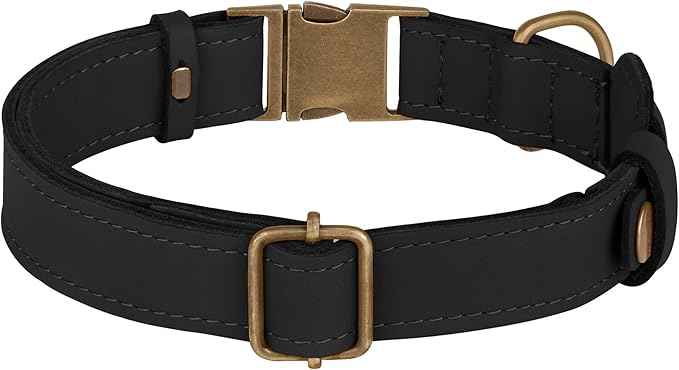 AirTag Dog Collar - Genuine Leather Dog Collar with Apple AirTag Holder and Metal Buckle - Smart GPS Tracking Pet Collars (Black, M, 14"-18" Neck Fit)