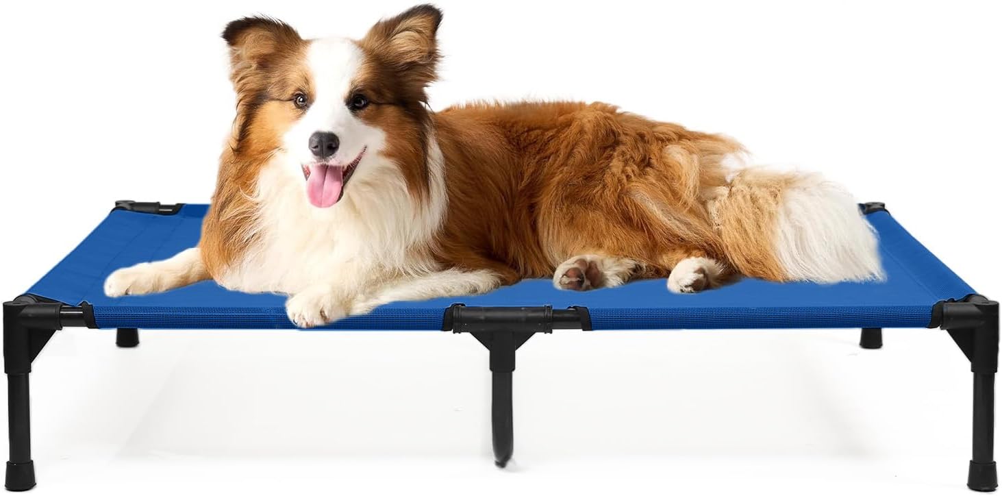 Outdoor Dog Beds Large Sized Dogs, Cooling Elevated Dog Bed with Breathable Mesh & Non Slip Feet, Raised Pet Bed Off The Ground, Lifted Place Cot (L, Blue) - Pet Explorer