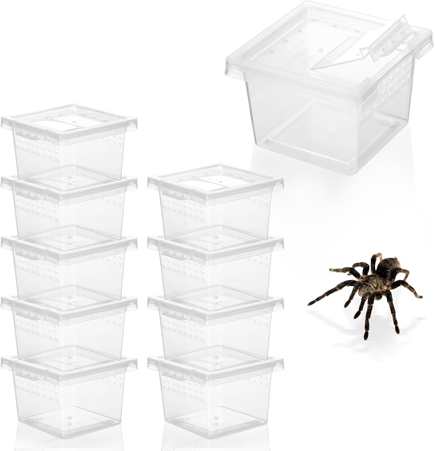 10Pcs Plastic Critter Keeper,Transparent Cricket Keeper for Reptiles,Mini Reptile Feeding Box Kids Bug Catching Kit Suitable for Crickets Scorpions Frogs Centipedes Lizards PP Breeding Box - Pet Explorer