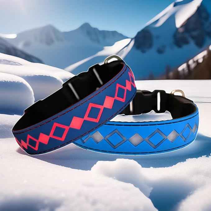LED Dog Collar with AirTag Holder and Custom ID Tag, 15 Light Modes, Waterproof, Multiple Colors (BLUE, L(15.7-19.7"))