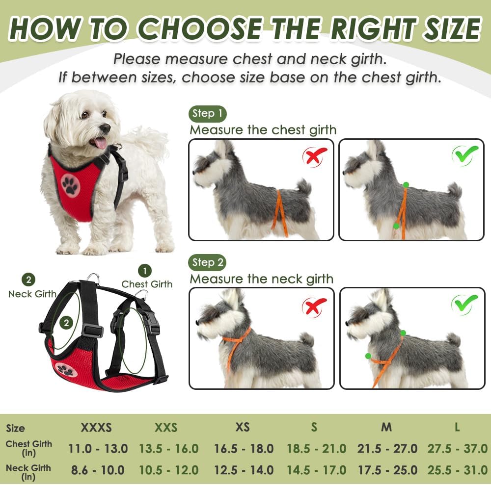 SlowTon Dog Seat Belt Harness for Car, Dog Car Harness Adjustable Mesh Breathable & Dog Seatbelt Safety Tether with Elastic Bungee for Small Medium Large Pets(Red, Double Clip, XXXS) - Pet Explorer
