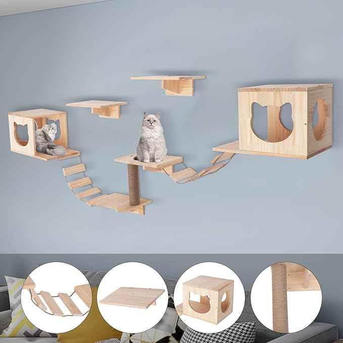Wall Wood Cat Climber Set, Wall Mounted Cat Furniture Wooden Cat Shelves and Perches for Wall Cat Steps Ladder Cat Bed Activity Tree Cat Climbing