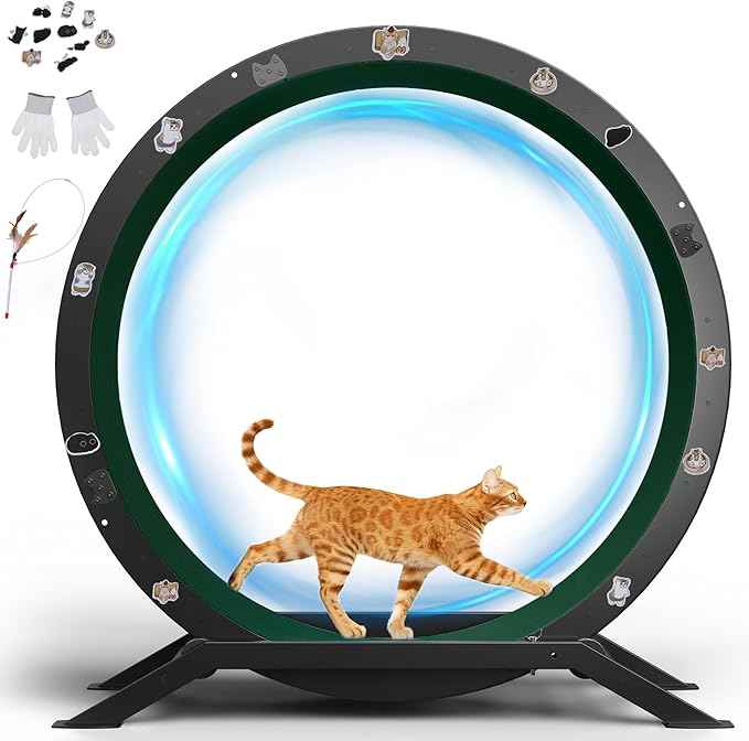 GTRACING Cat Wheels, 40" Diameter, Large Cat Exercise Wheel for Indoor Cats cat Treadmill Metal with Detachable Carpet & Teaser/Stickers, Ultra-Quiet Scroll Wheel with Latch, Safe and Stable, Green
