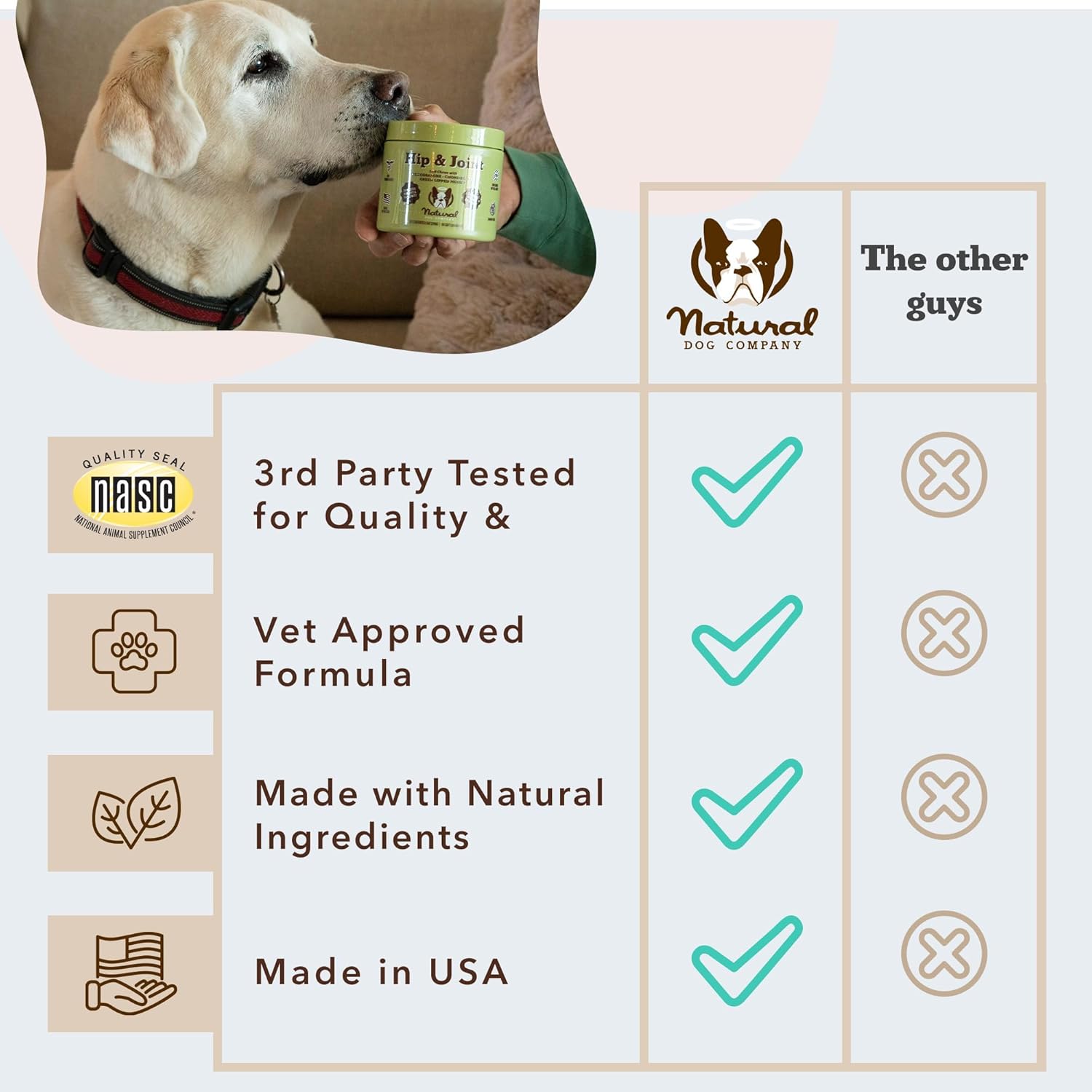 Natural Dog Company Hip & Joint Chews, Chicken Liver & Turmeric Flavor, with Glucosamine Chondroitin for Dogs, Maintains Bone and Joint Health, Supplements for Seniors and Puppies, 90 Count - Pet Explorer