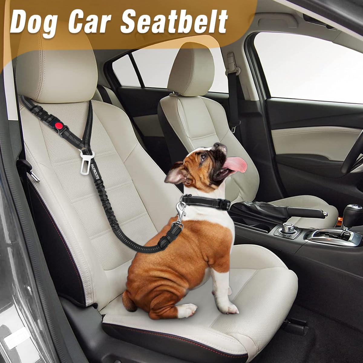 2 Piece Set Retractable Dog Car Seatbelts - Adjustable Pet Seat Belt for Vehicle Headrest Restraint - Heavy Duty & Elastic & Durable Car Harness - Pet Explorer