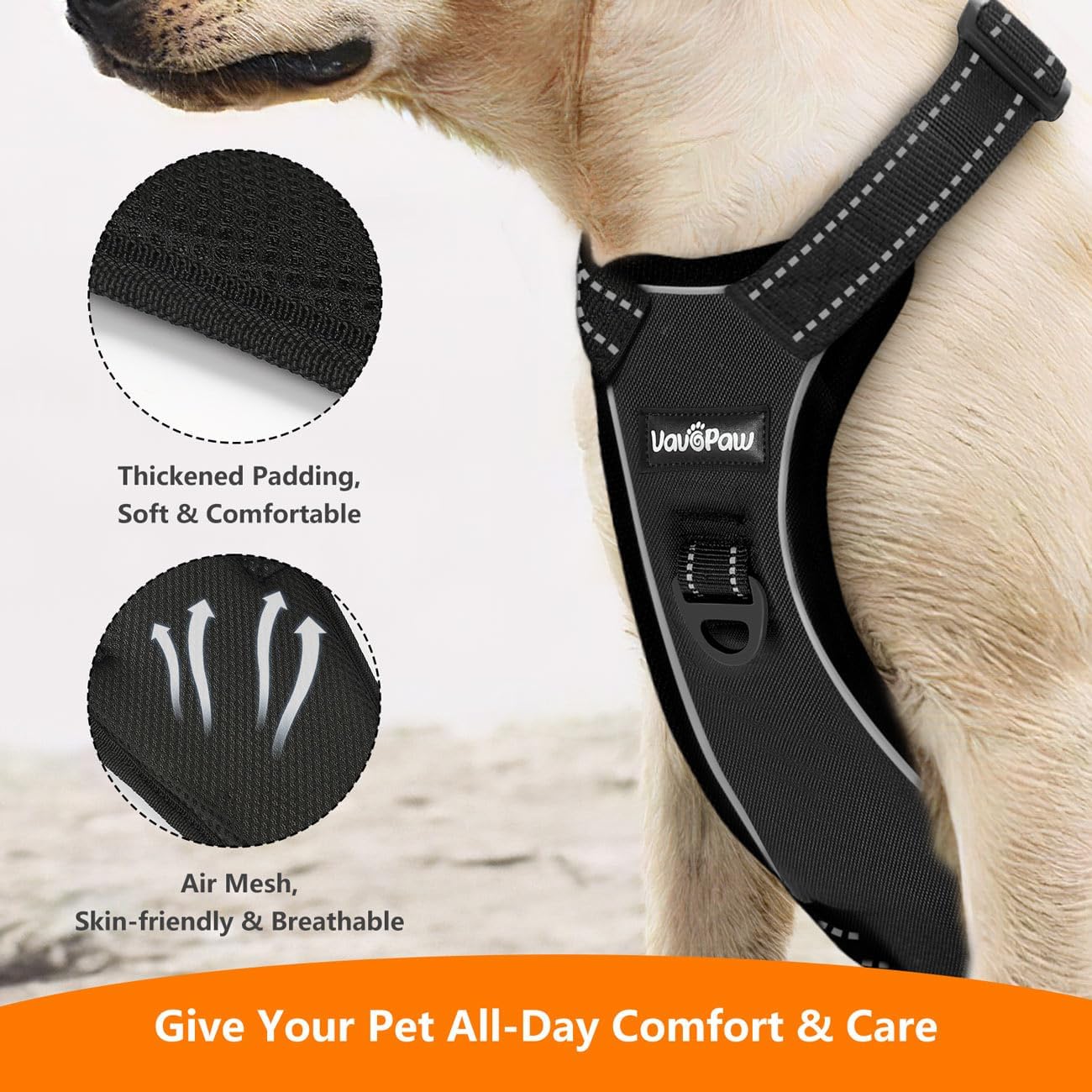 Dog Seat Belt Harness for Car, Dog Car Harness Adjustable Mesh Breathable & Dogs Seatbelt Safety Tether with Elastic Bungee for Small Medium Large Pets(Carbon Black, L) - Pet Explorer