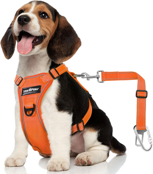 Dog Seat Belt Harness for Car, Dog Car Harness Adjustable Mesh Breathable & Dogs Seatbelt Safety Tether with Elastic Bungee for Small Medium Large Pets(Orange, M) - Pet Explorer