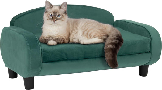 Paws & Purrs Cat Sofa Bed, Pet Couch for Indoor Cats Elevated Cat Beds with Removable Washable Mattress Cover for Kitten, Puppy or Small Animal- 31.5" Wide, Teal - Pet Explorer