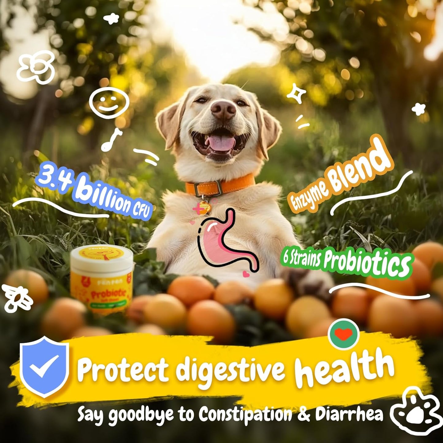Penpen Probiotics for Dogs, Dogs Probiotics for Digestive Health, Multi-Probiotic and Enzyme Blend Promote Gut Health & Immune Support, Eases Sensitive Stomachs (Beef Chews, 50ct) - Pet Explorer