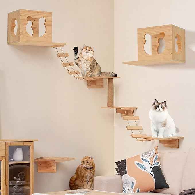 Cat Wall Shelves and Perches, Pine Wooden Cat Wall Furniture Climbing Shelves with Climber, Condo, Scratching Post, Ladder & Platform