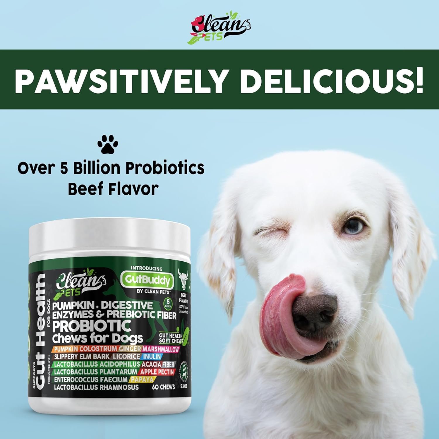 Probiotics for Dogs with Pumpkin, Colostrum, Digestive Enzymes, Ginger, Slippery Elm, Licorice, Inulin Fiber & More | Beef Flavor Soft Chews for Gut Health and Digestion Dog Supplement - Pet Explorer