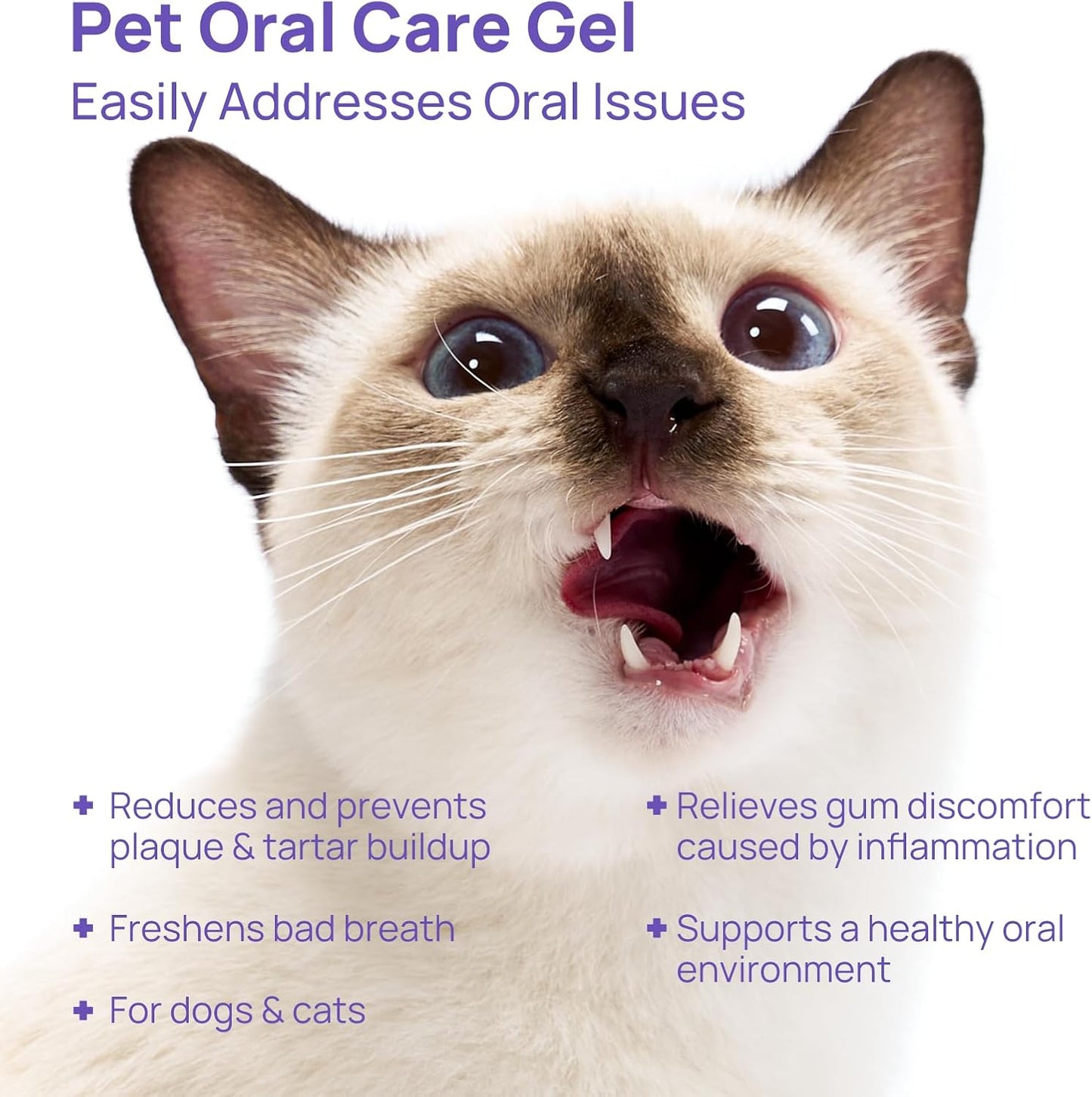 HICC PET Dog Dental Care, Oral Hydro Gel Teeth Cleaning and Breath Freshener for Dog and Cat, Relieve Gum Redness, Soothes Inflammation, Reduce Tarter and Plaque, Safe for All Animals, 2 Fl Oz - Pet Explorer