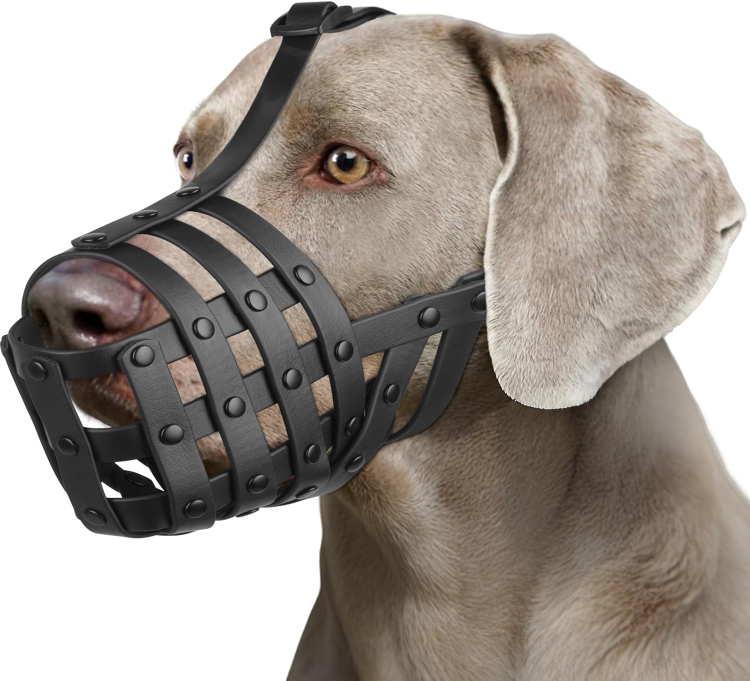 Mayerzon Dog Muzzle for Medium Large Dogs, Humane Basket Muzzle, Soft & Lightweight & Adjustable | Anti Biting Chewing Eating, Suits Training Walks Grooming Vet Visits, Drink & Pant Easily (Black, M) - Pet Explorer