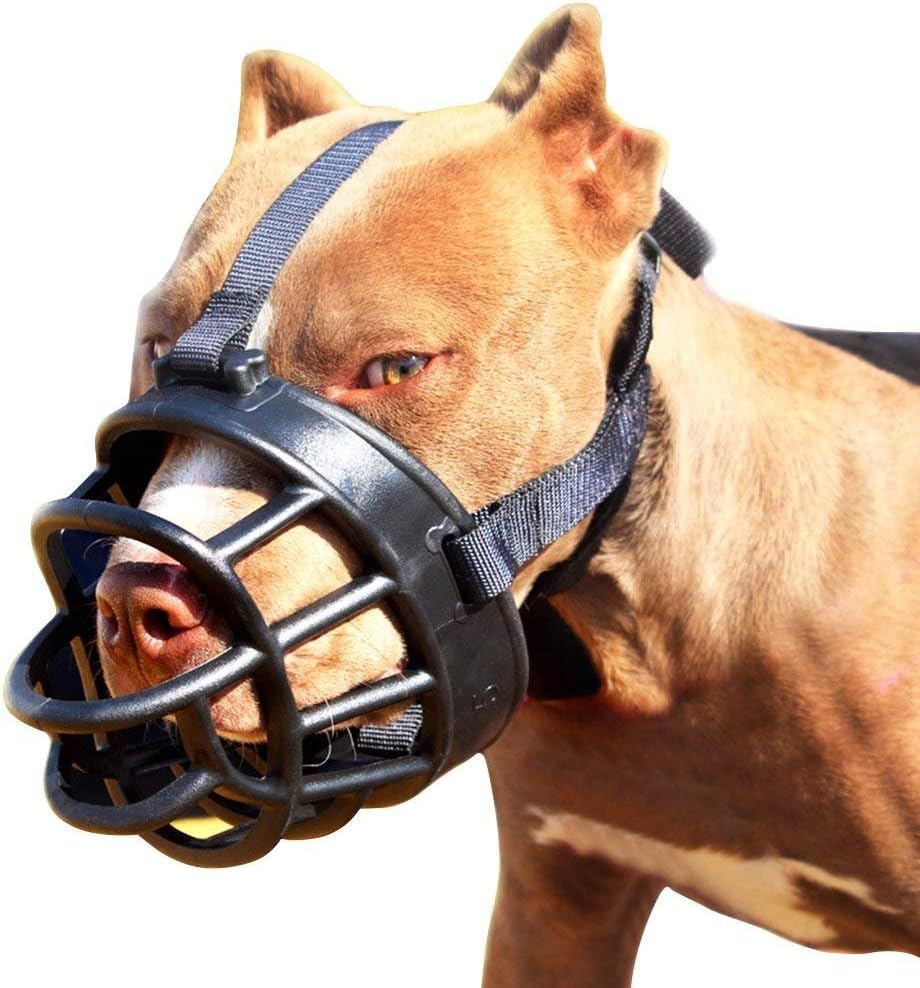 Basket Dog Muzzles-Soft Adjustable Breathable Mask Anti Biting Chewing Barking Training Dog Muzzle for Small Medium Large Dogs (Black, 5: Snout 11-14.9") - Pet Explorer
