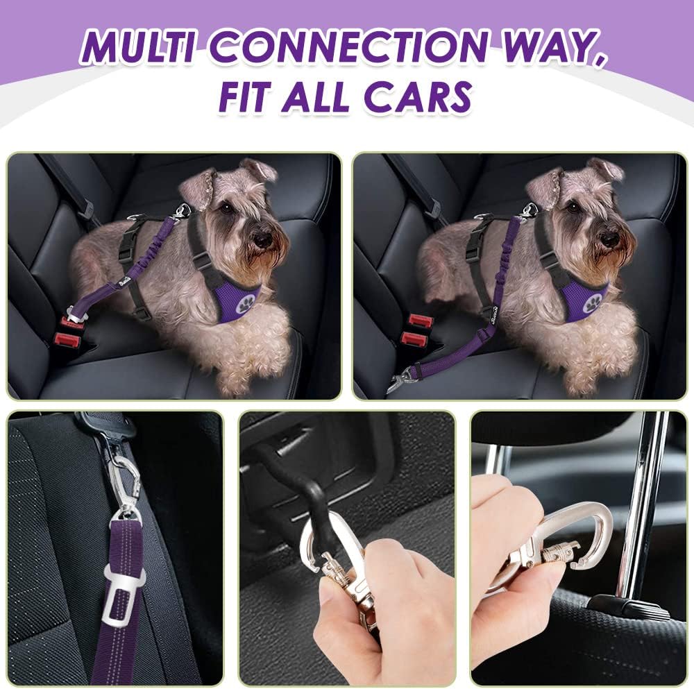 Lukovee Dog Seat Belt for Car, Adjustable Dog Car Harness for Large Medium Small Dogs, Soft Padded & Breathable Mesh Dog Seatbelt with Car Strap and Carabiner(Purple Double Clip,XX-Small) - Pet Explorer