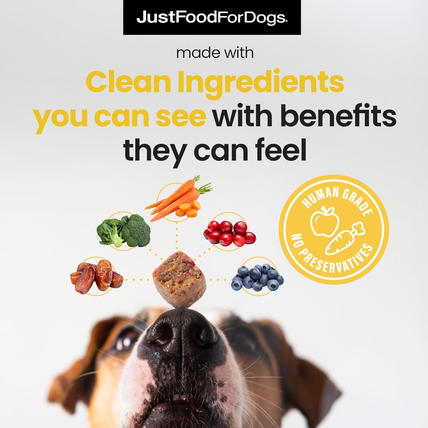 JustFoodForDogs Hip + Joint Soft Chews Mobility Supplement for Dogs with Glucosamine and Chondroitin, Superfood Blend, Human Grade, Plant-Based - 45 Count - Pet Explorer