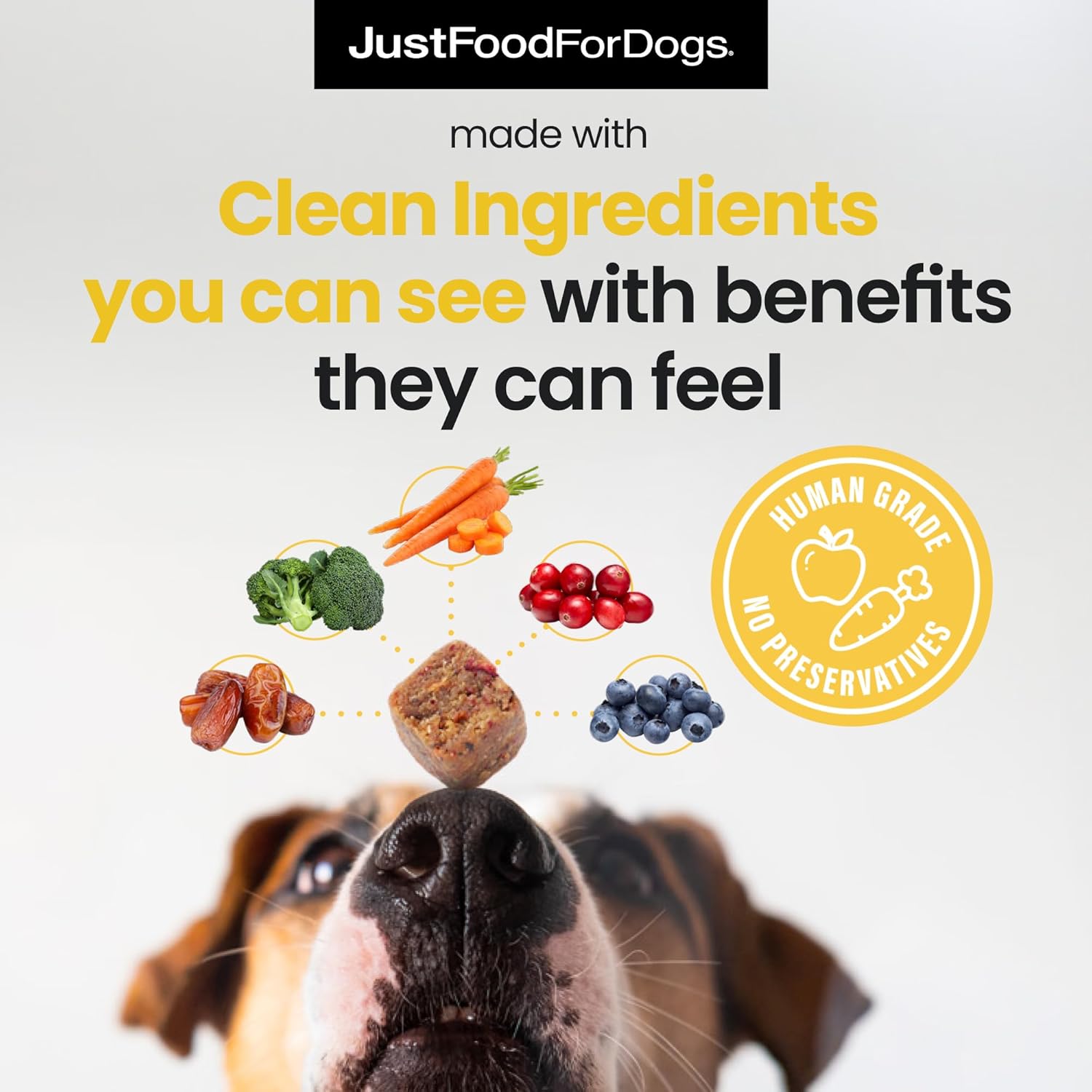 JustFoodForDogs Hip + Joint Soft Chews Mobility Supplement for Dogs with Glucosamine and Chondroitin, Superfood Blend, Human Grade, Plant-Based - 45 Count - Pet Explorer
