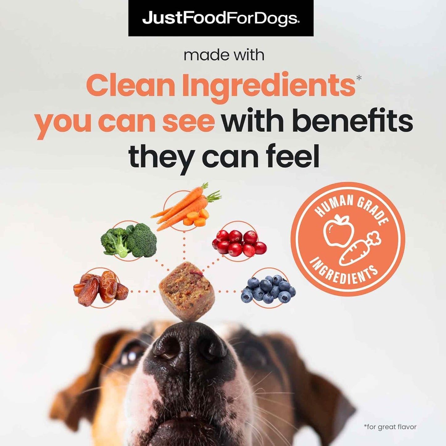 JustFoodForDogs 10-in-1 Multifunctional Supplement Chews for Dogs, Superfood Blend, Glucosamine, Omega-3 Fatty Acids, Skin Health, Joint Health, Probiotics, Plant-Based, Human Grade - 45 Count - Pet Explorer