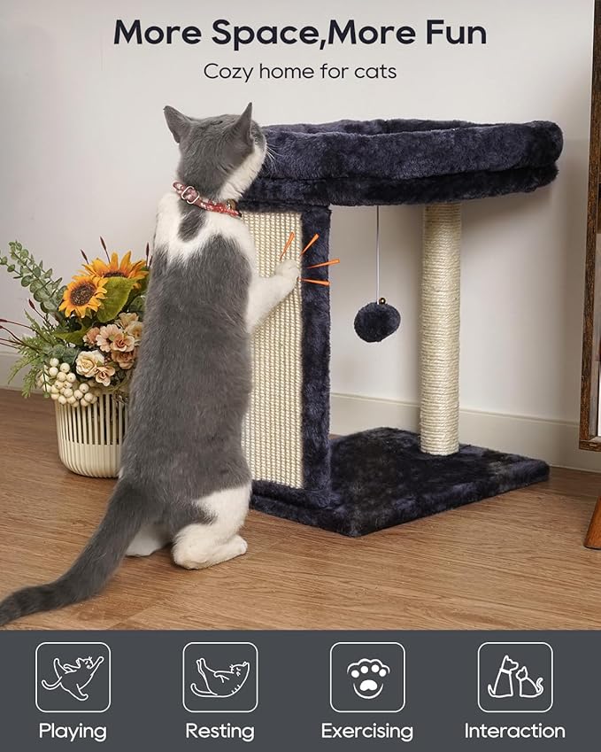 SYANDLVY Samll Cat Tree with Scratching Board, Scratching Post with Perch for Indoor Cats, Cat Scratcher with 2 Dangling Balls, Great for Kittens