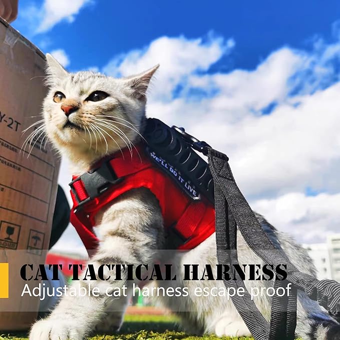 Tactical Cat Harness and Leash for Walking Escape Proof, Adjustable Military K9 Pet Vest Harness Easy Control for Large Cat, Puppy and Small Dog (Red)