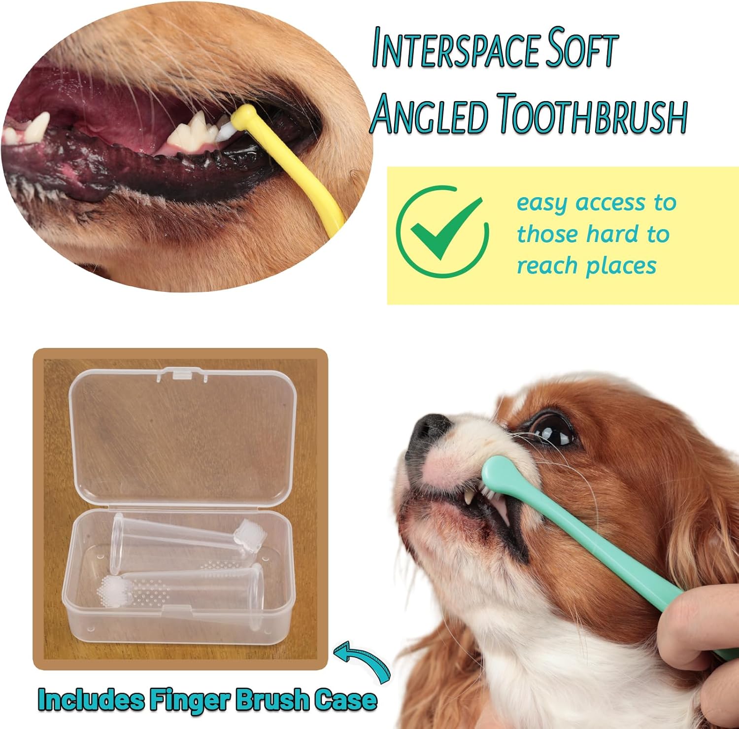 E.M&S.T by Emmeliestella Small Dog & Cat Toothbrush Kit，Micro Head, Kitten Toothbrush, Finger Brush, Starter Kit, Round & Pointed Design, Pet Dental Care, Soft Bristles, Multi-Angle, Deep Clean, 5PCS - Pet Explorer