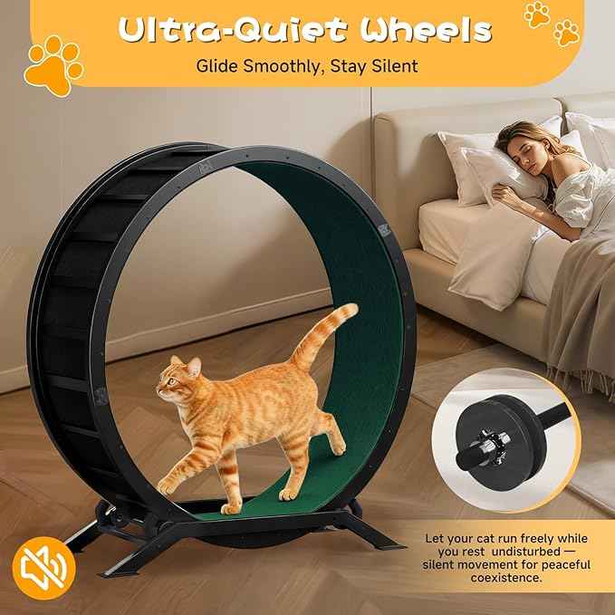 GTRACING Cat Wheels, 40" Diameter, Large Cat Exercise Wheel for Indoor Cats cat Treadmill Metal with Detachable Carpet & Teaser/Stickers, Ultra-Quiet Scroll Wheel with Latch, Safe and Stable, Green