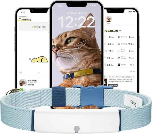 Health Tracker for Cats - Smart Cat Collar with Safety Breakaway Buckle for Indoor Cats, Wellness Alerts, Real-time Monitoring (White×Ice Blue,XL)