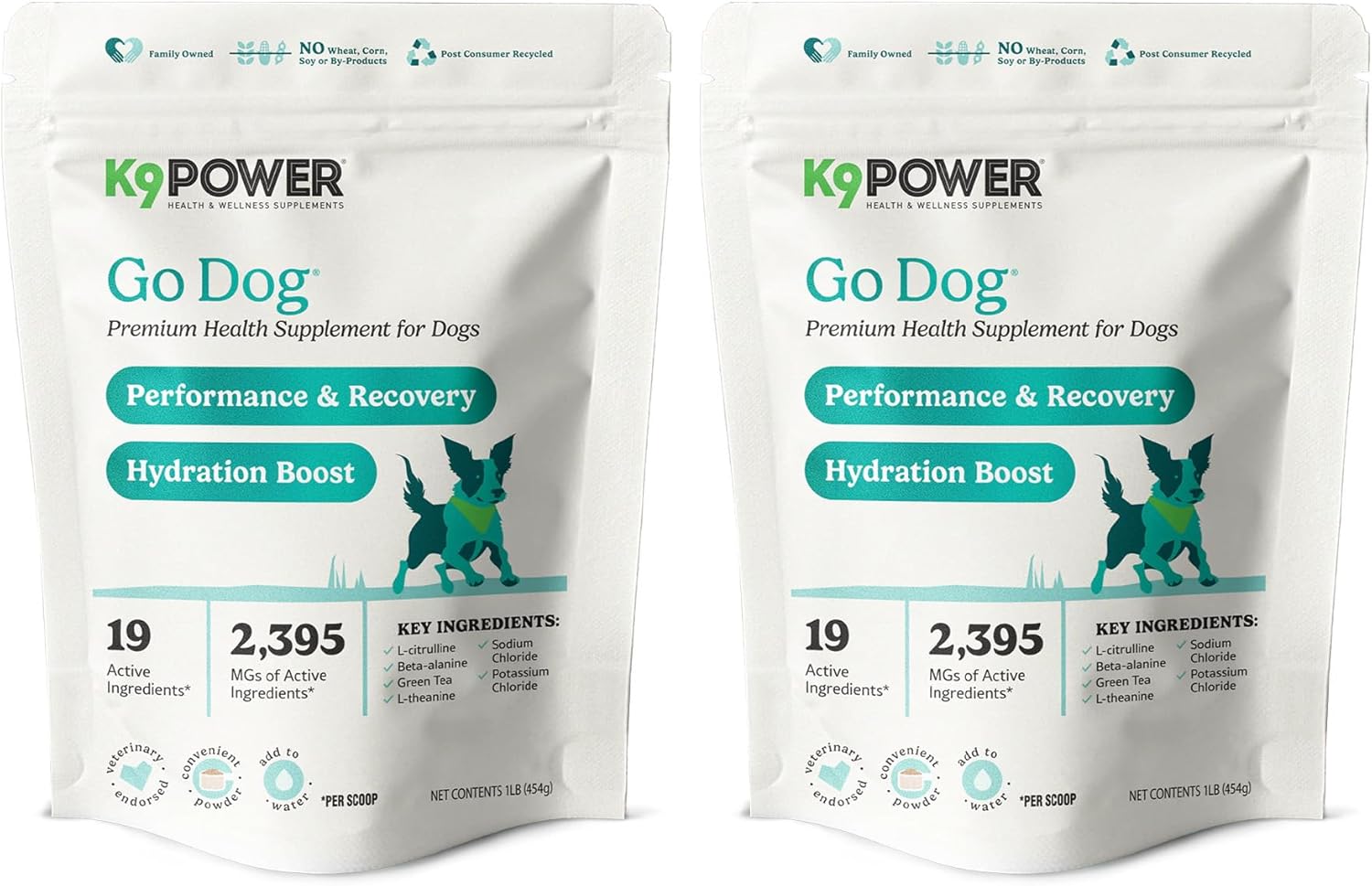 K9 Power Go Dog Hydration & Performance Drink Mix 1 lb - Active Dog Supplement for Muscle Function, Endurance, Recovery, with Electrolytes Support - Pack of 2 - Pet Explorer