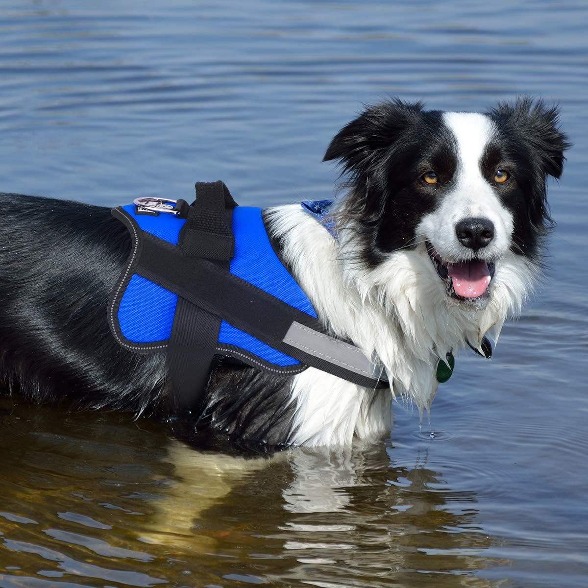 Bolux Dog Harness, No-Pull Reflective Dog Vest, Breathable Adjustable Pet Harness with Handle for Outdoor Walking - No More Pulling, Tugging or Choking (Blue, XL)
