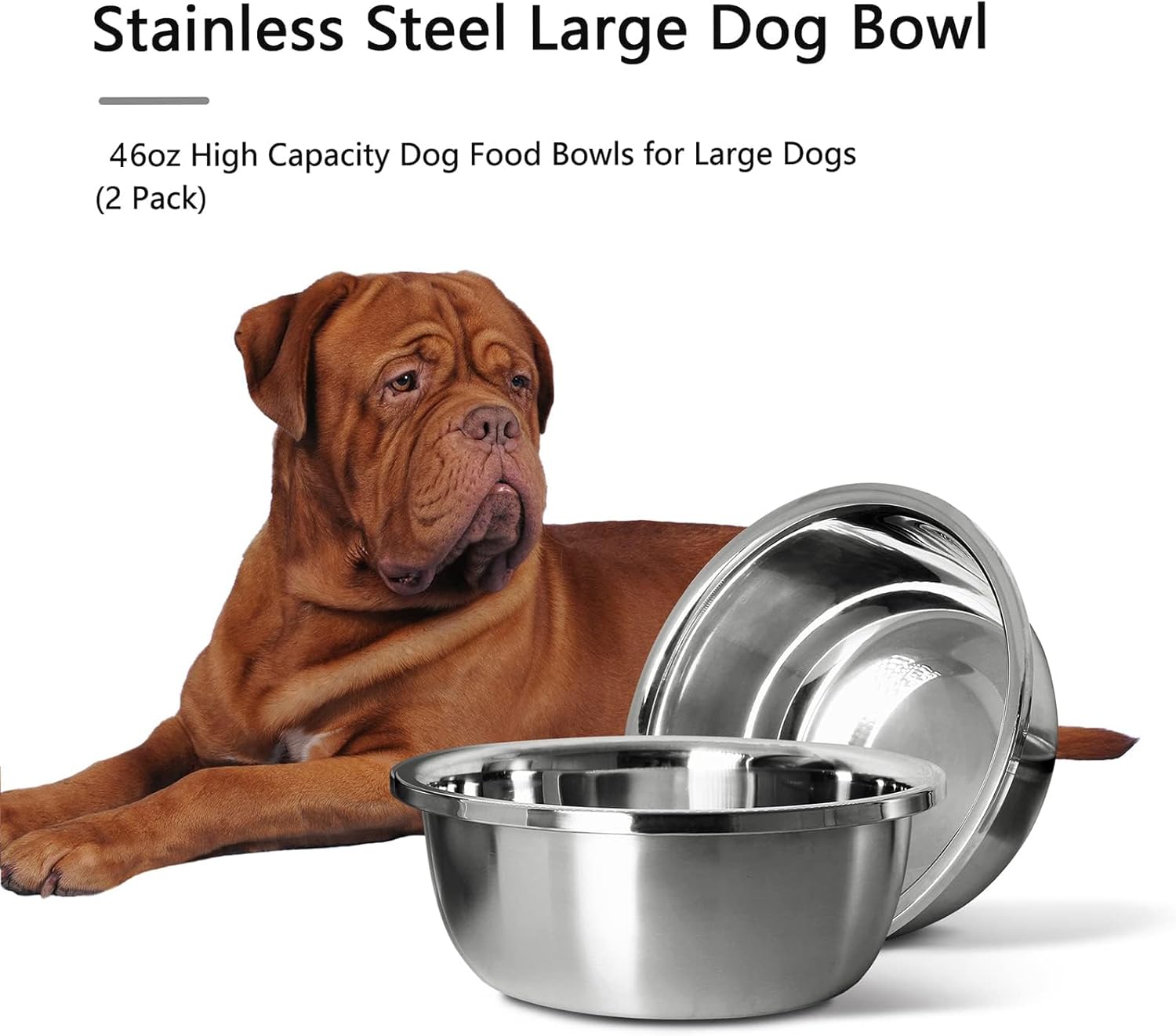 Stainless Steel Large Dog Food Bowl, 46 oz (7cup) Large Capacity Dog Water Bowl, Heavy Duty, BPA-Free for Medium and Small Dogs (2 pcs) - Pet Explorer