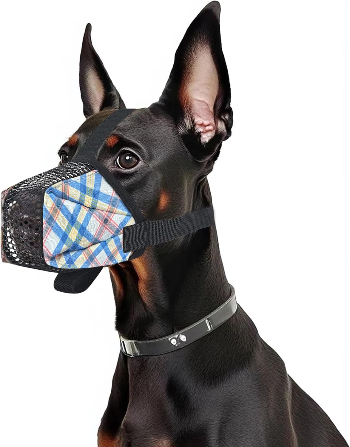 Dog Muzzle for Small Large Dogs - Soft Nylon Basket Muzzle with Adjustable Strap, Breathable Mesh Design Prevents Biting Chewing Licking Eating - Ideal for Training, Grooming & Vet Visits (Blue, S) - Pet Explorer