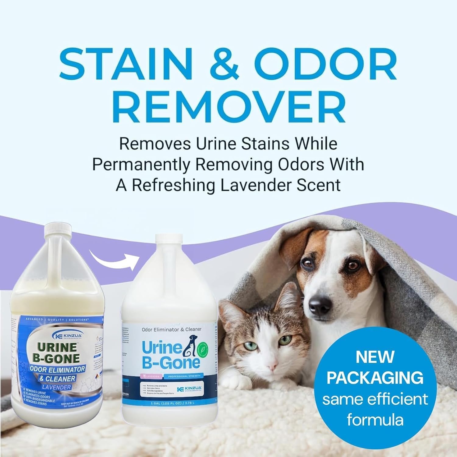 KINZUA ENVIRONMENTAL Urine B-Gone, Professional Enzyme Odor Eliminator & Pet Stain Remover, Human, Cat & Dog Urine Cleaner, Effective on Laundry, Carpets & More, Lavender Scent, 1 Gallon - Pet Explorer