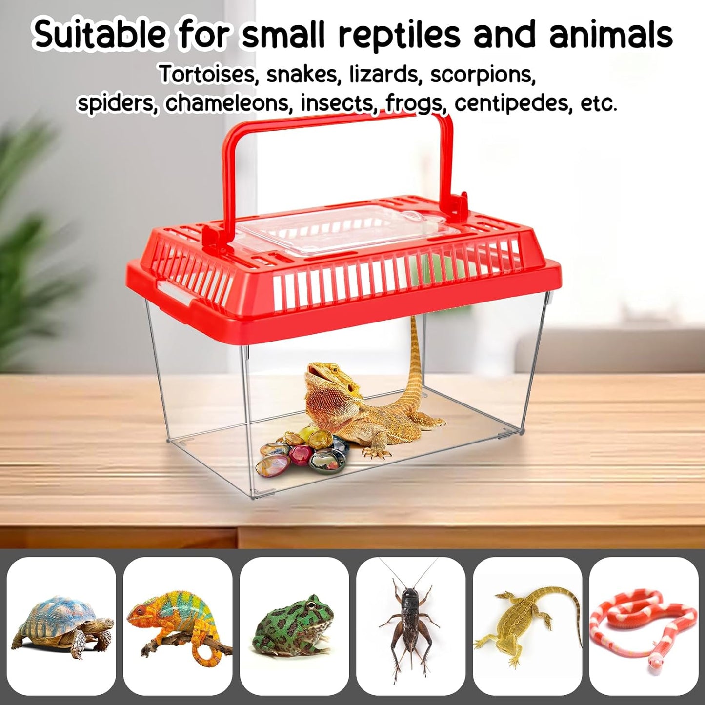 12Pcs Plastic Reptile Terrariums Carrier Cage, Tarantula Enclosure Snake Breeding Box Hatching Container Transparent Fish Tank Turtle Aquarium with Random Color Lid for Lizards, L(8.7" x 5.5" x 5.9") - Pet Explorer