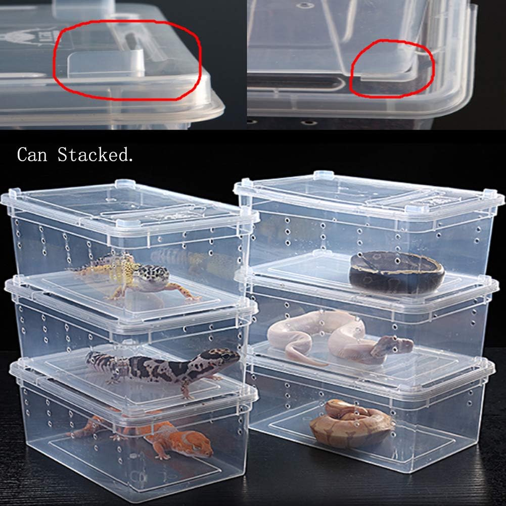 2 PCS Reptile Feeding Box Lizard Tarantula Habitat Cage Hatching Container Snake Breeding Box Transparent Portable Plastic Mini Pet Houses for Scorpion Spider Frog - Pet Explorer