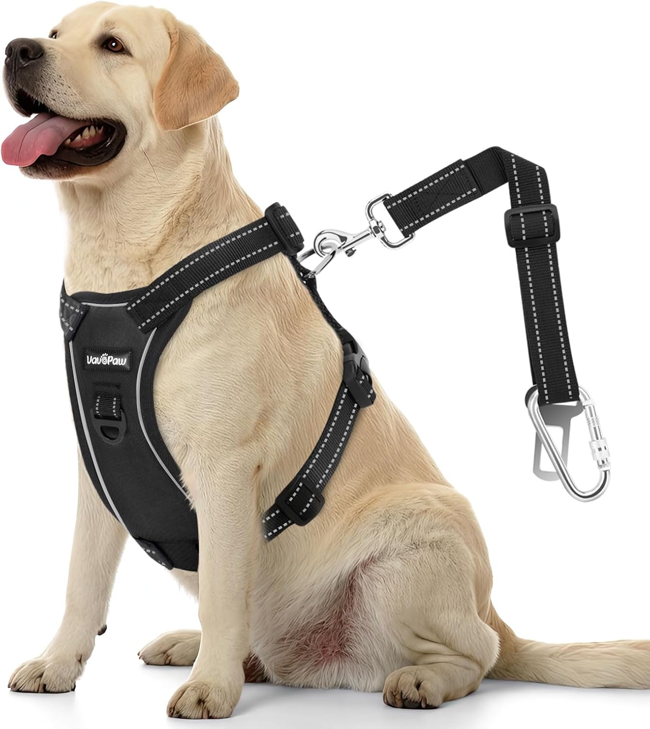 Dog Seat Belt Harness for Car, Dog Car Harness Adjustable Mesh Breathable & Dogs Seatbelt Safety Tether with Elastic Bungee for Small Medium Large Pets(Carbon Black, L) - Pet Explorer