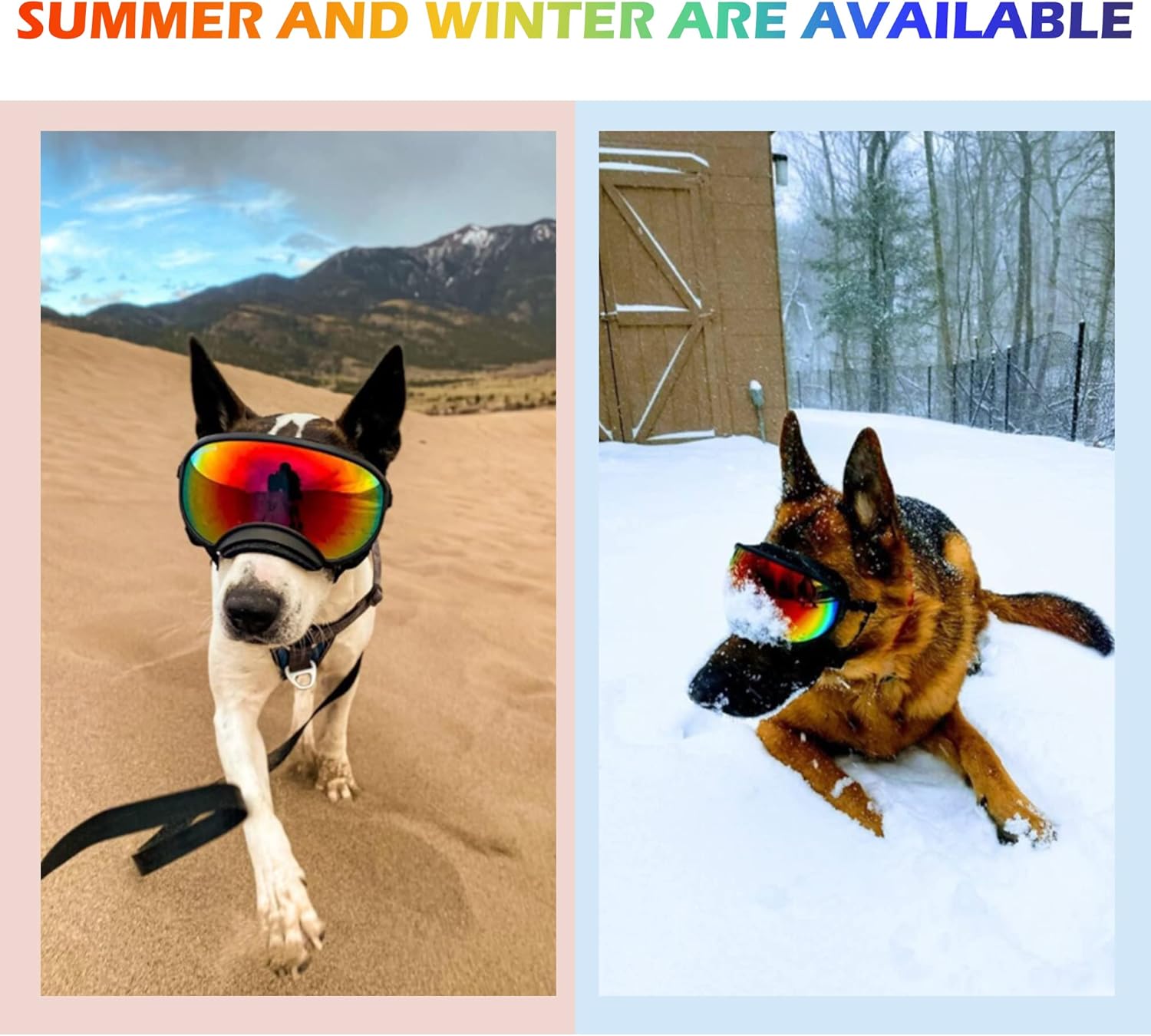 Large Dog Sunglasses with Adjustable Strap UV Protection, Winproof, Suitable for Medium-Large Dogs - Pet Explorer