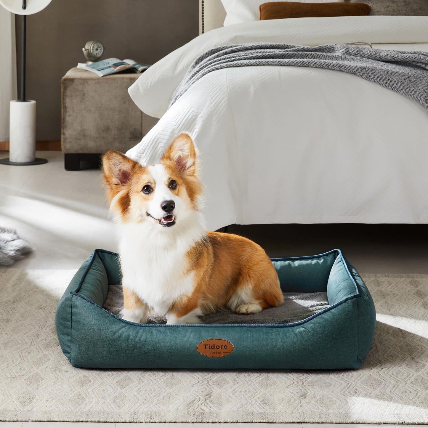 Orthopedic Dog Beds for Medium Dogs, Durable Egg Crate Foam Sofa Dog Bed wit Washable Removable Cover,Waterproof Lining,Pet Bed for Large Dogs (Olive Green, 31.5" L x 25.2" W x 7" Th) - Pet Explorer