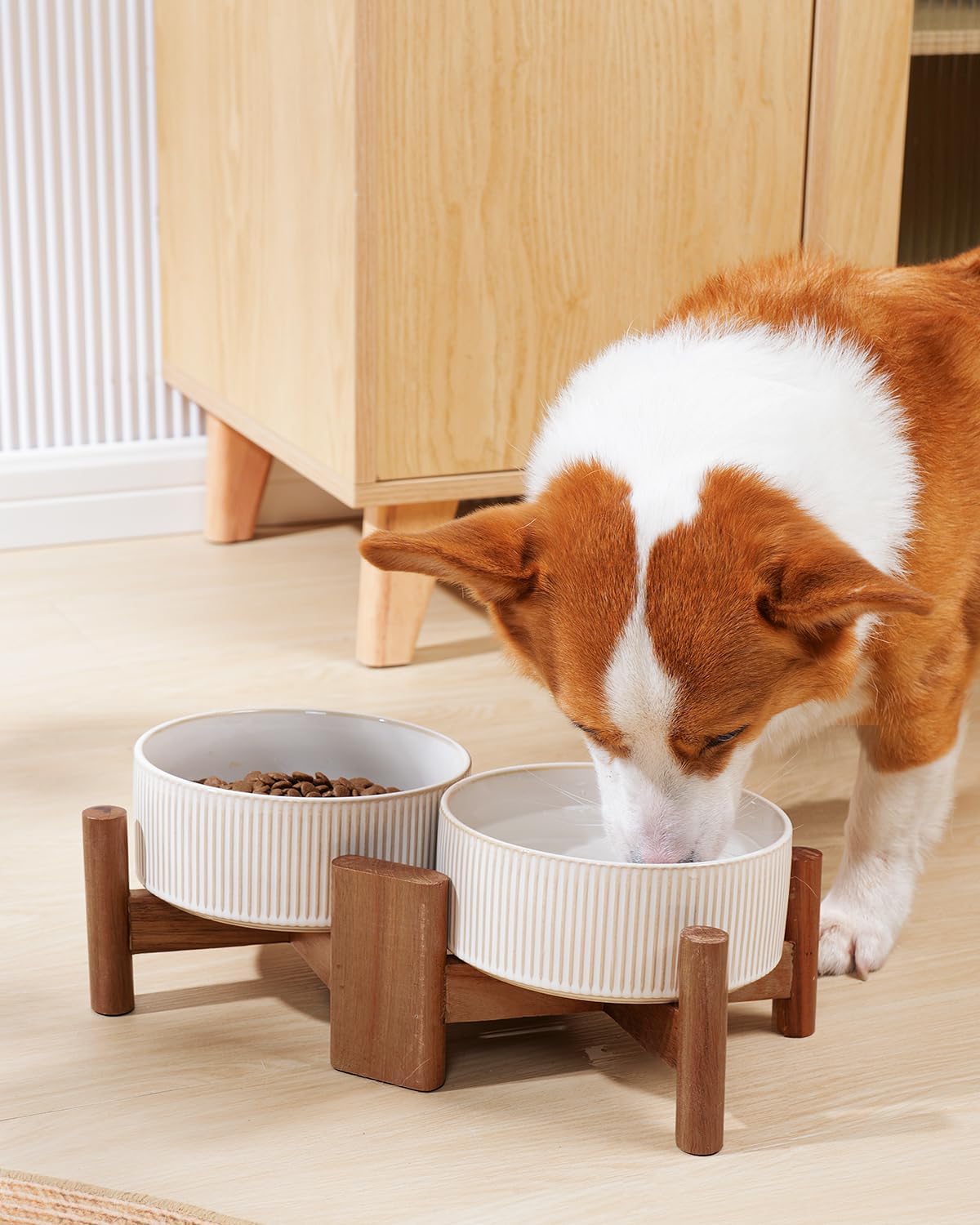 Getstar Ceramic Dog Bowls with Acacia Wood Stand, 30 fl oz, Set of 2, Dog Food Bowl, Cat Bowls (6.5 inches) (Vintage White) - Pet Explorer